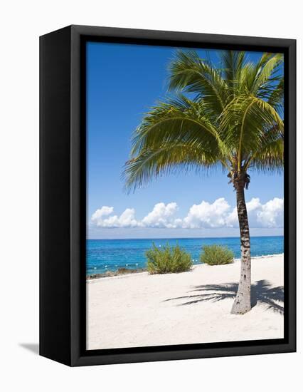 Beach at Chankanaab Park, Isla De Cozumel, Cozumel, Off the Yucatan, Mexico-Michael DeFreitas-Framed Premier Image Canvas