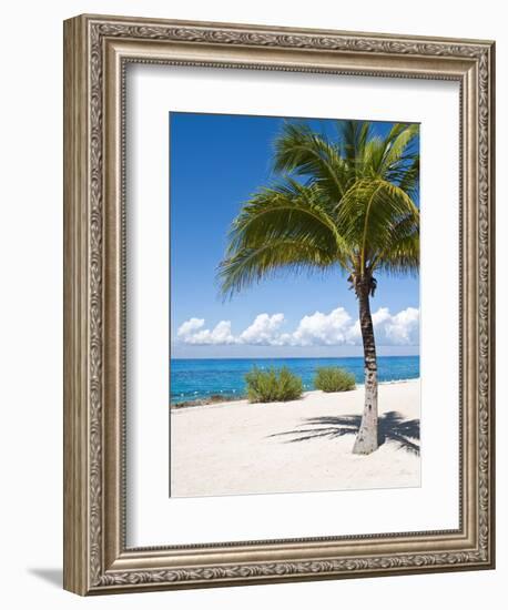 Beach at Chankanaab Park, Isla De Cozumel, Cozumel, Off the Yucatan, Mexico-Michael DeFreitas-Framed Photographic Print