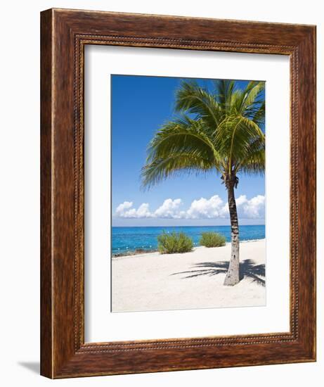 Beach at Chankanaab Park, Isla De Cozumel, Cozumel, Off the Yucatan, Mexico-Michael DeFreitas-Framed Photographic Print