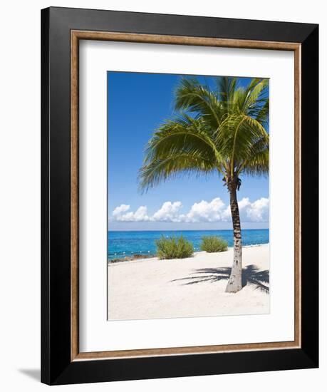 Beach at Chankanaab Park, Isla De Cozumel, Cozumel, Off the Yucatan, Mexico-Michael DeFreitas-Framed Photographic Print