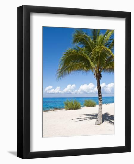 Beach at Chankanaab Park, Isla De Cozumel, Cozumel, Off the Yucatan, Mexico-Michael DeFreitas-Framed Photographic Print