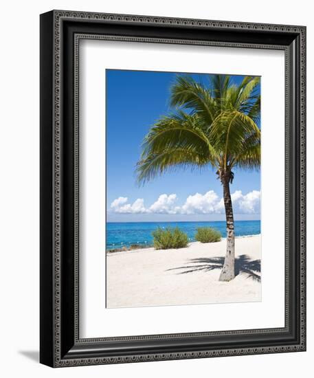 Beach at Chankanaab Park, Isla De Cozumel, Cozumel, Off the Yucatan, Mexico-Michael DeFreitas-Framed Photographic Print