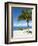 Beach at Chankanaab Park, Isla De Cozumel, Cozumel, Off the Yucatan, Mexico-Michael DeFreitas-Framed Photographic Print