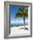 Beach at Chankanaab Park, Isla De Cozumel, Cozumel, Off the Yucatan, Mexico-Michael DeFreitas-Framed Photographic Print