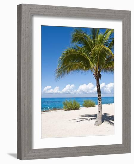 Beach at Chankanaab Park, Isla De Cozumel, Cozumel, Off the Yucatan, Mexico-Michael DeFreitas-Framed Photographic Print