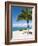 Beach at Chankanaab Park, Isla De Cozumel, Cozumel, Off the Yucatan, Mexico-Michael DeFreitas-Framed Photographic Print