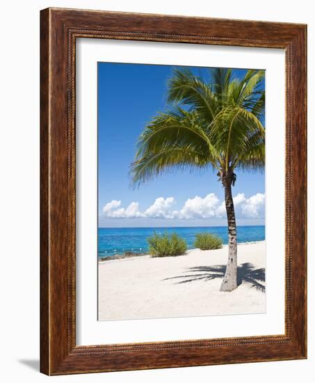 Beach at Chankanaab Park, Isla De Cozumel, Cozumel, Off the Yucatan, Mexico-Michael DeFreitas-Framed Photographic Print