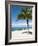 Beach at Chankanaab Park, Isla De Cozumel, Cozumel, Off the Yucatan, Mexico-Michael DeFreitas-Framed Photographic Print