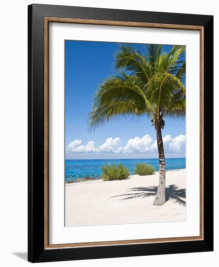 Beach at Chankanaab Park, Isla De Cozumel, Cozumel, Off the Yucatan, Mexico-Michael DeFreitas-Framed Photographic Print