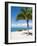 Beach at Chankanaab Park, Isla De Cozumel, Cozumel, Off the Yucatan, Mexico-Michael DeFreitas-Framed Photographic Print