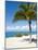 Beach at Chankanaab Park, Isla De Cozumel, Cozumel, Off the Yucatan, Mexico-Michael DeFreitas-Mounted Photographic Print