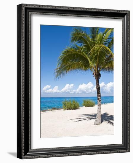 Beach at Chankanaab Park, Isla De Cozumel, Cozumel, Off the Yucatan, Mexico-Michael DeFreitas-Framed Photographic Print