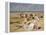 Beach at Courseulles-Henri Michel-Levy-Framed Premier Image Canvas