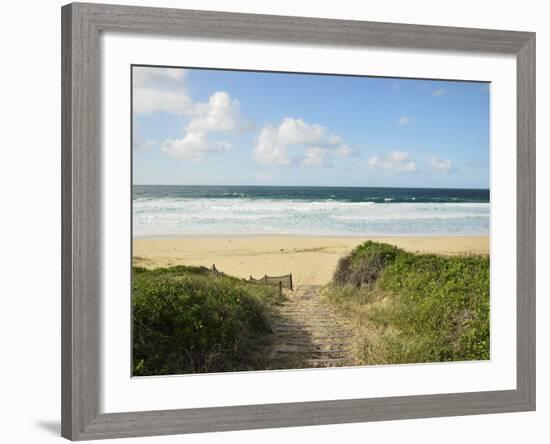 Beach at Hawks Nest, New South Wales, Australia, Pacific-null-Framed Photographic Print