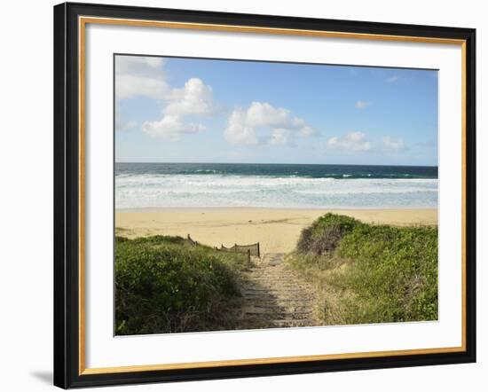 Beach at Hawks Nest, New South Wales, Australia, Pacific-null-Framed Photographic Print