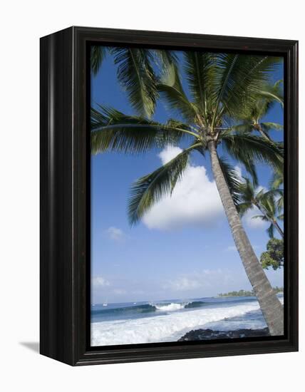 Beach at Kailua-Kona, Island of Hawaii (Big Island), Hawaii, USA-Ethel Davies-Framed Premier Image Canvas