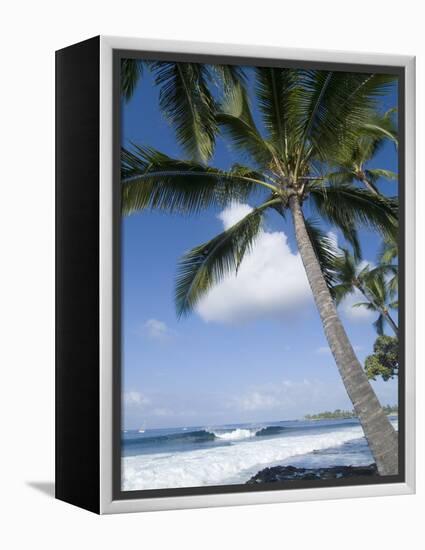 Beach at Kailua-Kona, Island of Hawaii (Big Island), Hawaii, USA-Ethel Davies-Framed Premier Image Canvas