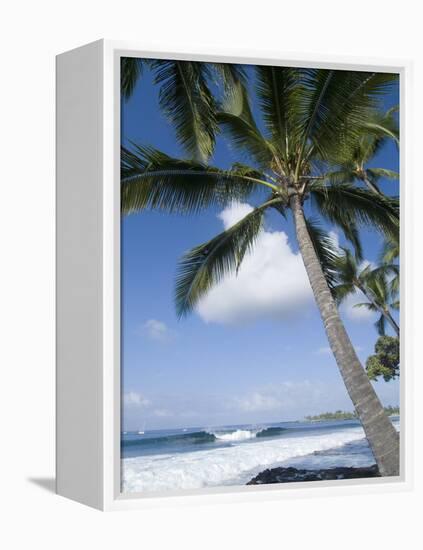 Beach at Kailua-Kona, Island of Hawaii (Big Island), Hawaii, USA-Ethel Davies-Framed Premier Image Canvas