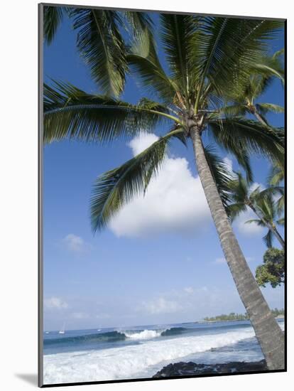 Beach at Kailua-Kona, Island of Hawaii (Big Island), Hawaii, USA-Ethel Davies-Mounted Photographic Print
