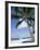 Beach at Kailua-Kona, Island of Hawaii (Big Island), Hawaii, USA-Ethel Davies-Framed Photographic Print