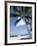 Beach at Kailua-Kona, Island of Hawaii (Big Island), Hawaii, USA-Ethel Davies-Framed Photographic Print