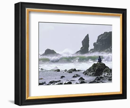 Beach at Lappish, Olympic National Park, Washington, USA-Charles Sleicher-Framed Photographic Print