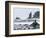 Beach at Lappish, Olympic National Park, Washington, USA-Charles Sleicher-Framed Photographic Print