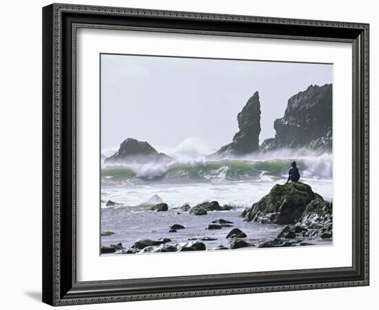 Beach at Lappish, Olympic National Park, Washington, USA-Charles Sleicher-Framed Photographic Print