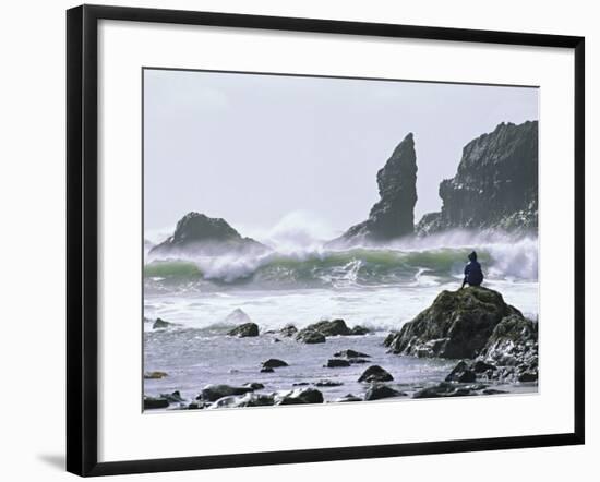 Beach at Lappish, Olympic National Park, Washington, USA-Charles Sleicher-Framed Photographic Print