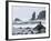 Beach at Lappish, Olympic National Park, Washington, USA-Charles Sleicher-Framed Photographic Print