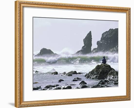 Beach at Lappish, Olympic National Park, Washington, USA-Charles Sleicher-Framed Photographic Print