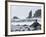 Beach at Lappish, Olympic National Park, Washington, USA-Charles Sleicher-Framed Photographic Print