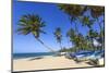 Beach at Las Terrenas, Samana Peninsula, Dominican Republic, West Indies, Caribbean-Jane Sweeney-Mounted Photographic Print