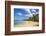 Beach at Las Terrenas, Samana Peninsula, Dominican Republic, West Indies, Caribbean-Jane Sweeney-Framed Photographic Print