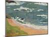 Beach at Le Pouldu, 1889-Paul Gauguin-Mounted Giclee Print