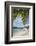 Beach at Little Dix Bay-Macduff Everton-Framed Photographic Print