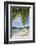 Beach at Little Dix Bay-Macduff Everton-Framed Photographic Print