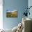 Beach at Luskentyre with Dune Grasses Blowing-Lee Frost-Photographic Print displayed on a wall