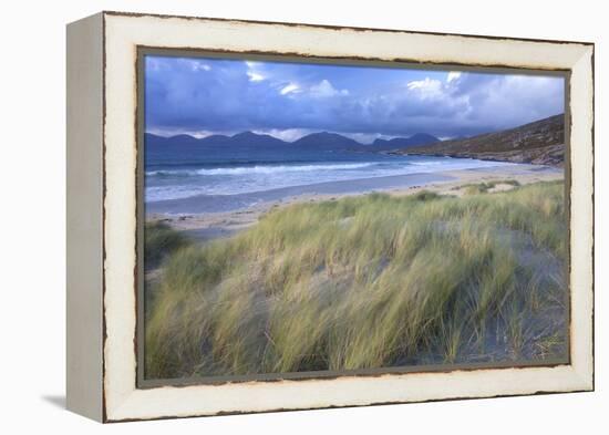 Beach at Luskentyre with Dune Grasses Blowing-Lee Frost-Framed Premier Image Canvas