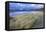 Beach at Luskentyre with Dune Grasses Blowing-Lee Frost-Framed Premier Image Canvas