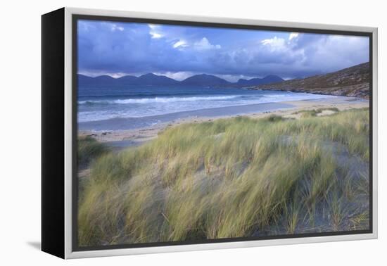 Beach at Luskentyre with Dune Grasses Blowing-Lee Frost-Framed Premier Image Canvas