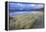 Beach at Luskentyre with Dune Grasses Blowing-Lee Frost-Framed Premier Image Canvas