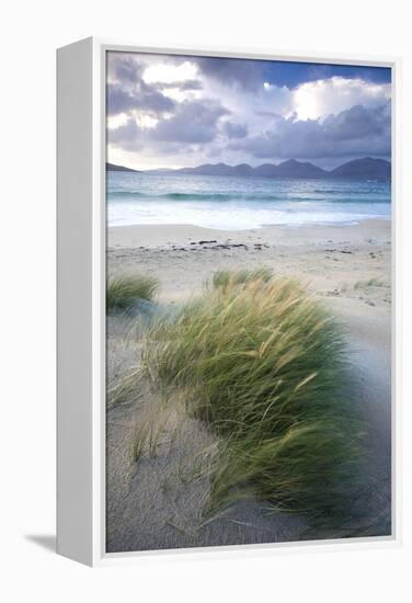 Beach at Luskentyre with Dune Grasses Blowing-Lee Frost-Framed Premier Image Canvas