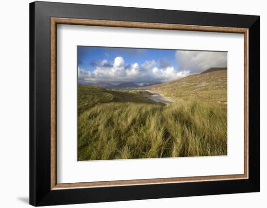 Beach at Luskentyre with Dune Grasses Blowing-Lee Frost-Framed Photographic Print