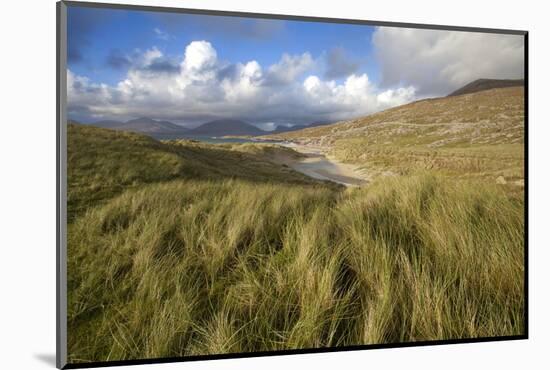 Beach at Luskentyre with Dune Grasses Blowing-Lee Frost-Mounted Photographic Print
