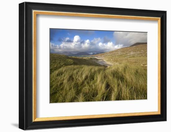 Beach at Luskentyre with Dune Grasses Blowing-Lee Frost-Framed Photographic Print