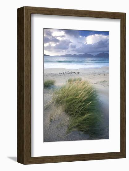 Beach at Luskentyre with Dune Grasses Blowing-Lee Frost-Framed Photographic Print