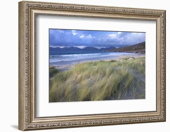 Beach at Luskentyre with Dune Grasses Blowing-Lee Frost-Framed Photographic Print