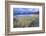 Beach at Luskentyre with Dune Grasses Blowing-Lee Frost-Framed Photographic Print