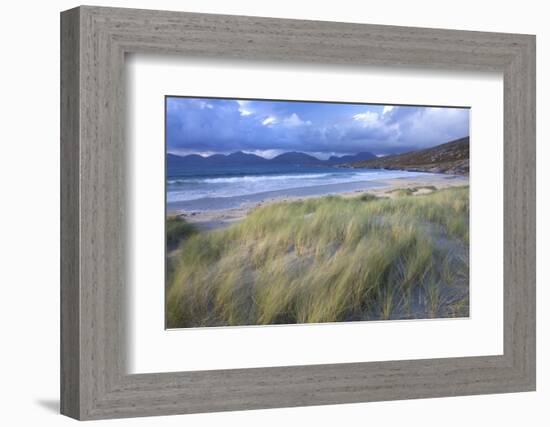 Beach at Luskentyre with Dune Grasses Blowing-Lee Frost-Framed Photographic Print